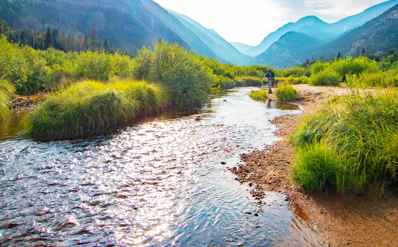 MarkLewis-5216-cropped-lighter