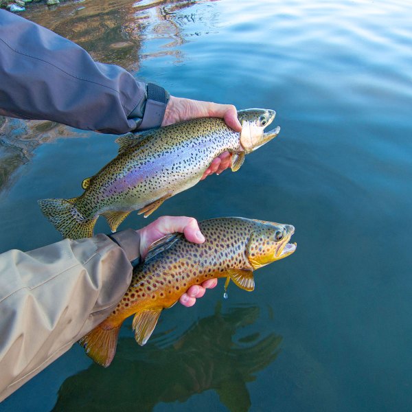 MarkLewis.site_.5320