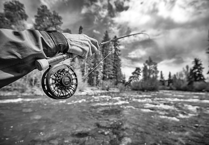 sMarkLewis-8307contrast3