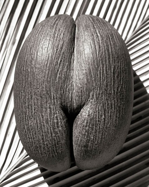 S1