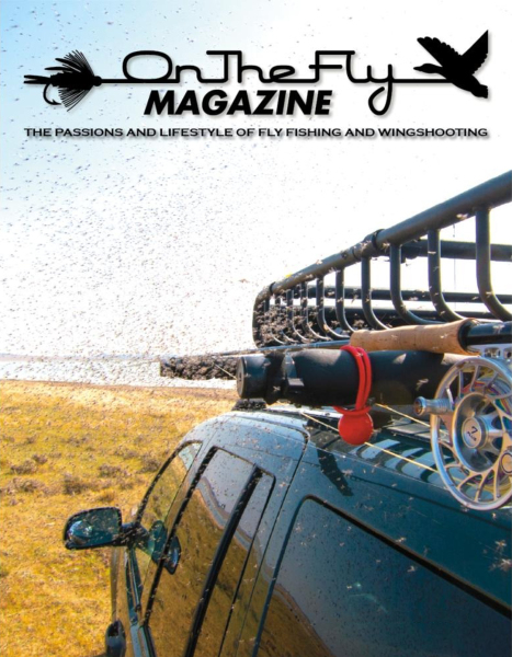 OnTheFlySpring
