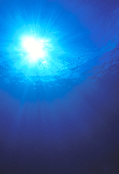 rays of sunlight from underwater
